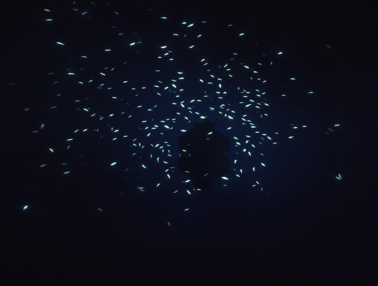 深海探密